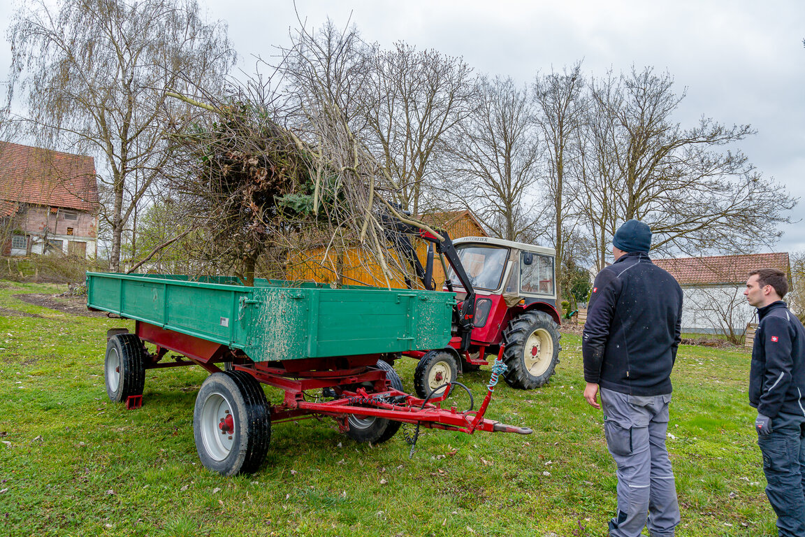 Image: _JA 28278.jpg